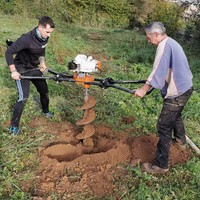 image plantation verger jenvrin